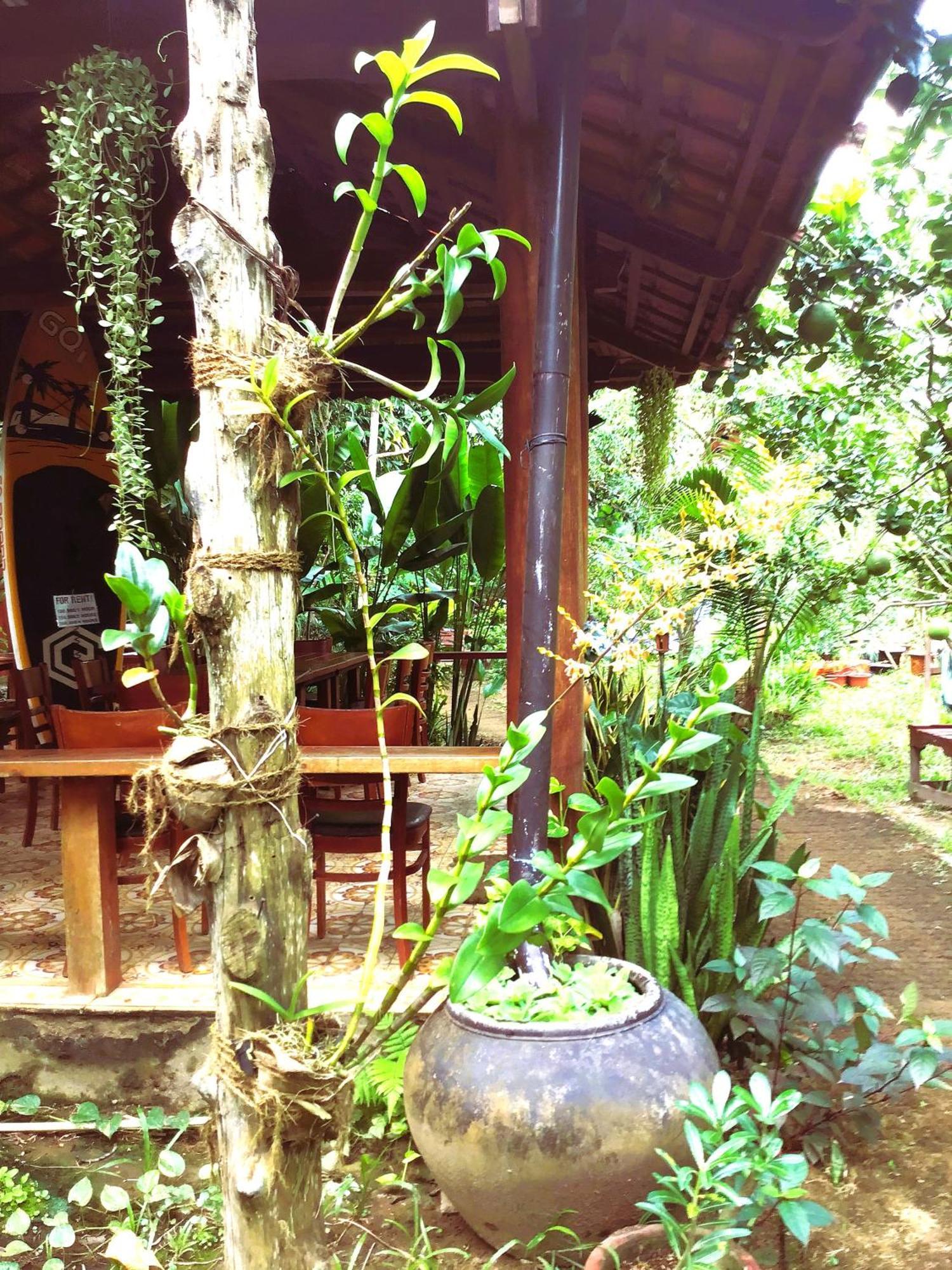 Ben Tre Farm Stay Exterior foto