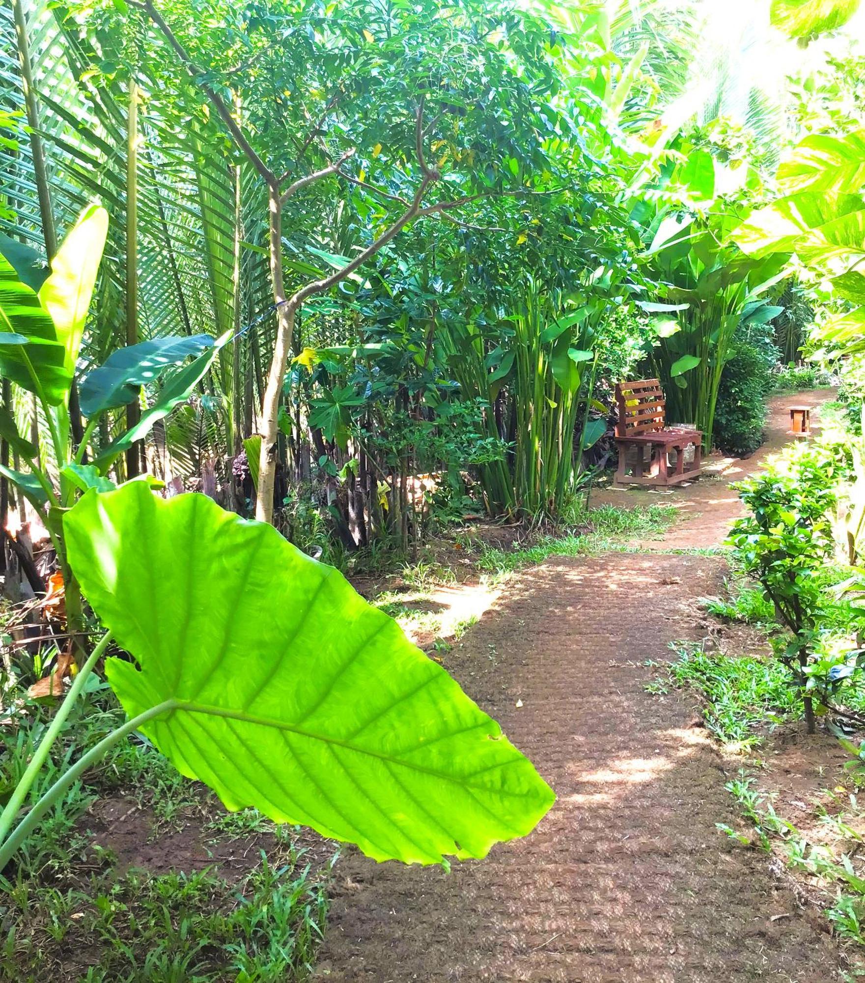 Ben Tre Farm Stay Exterior foto